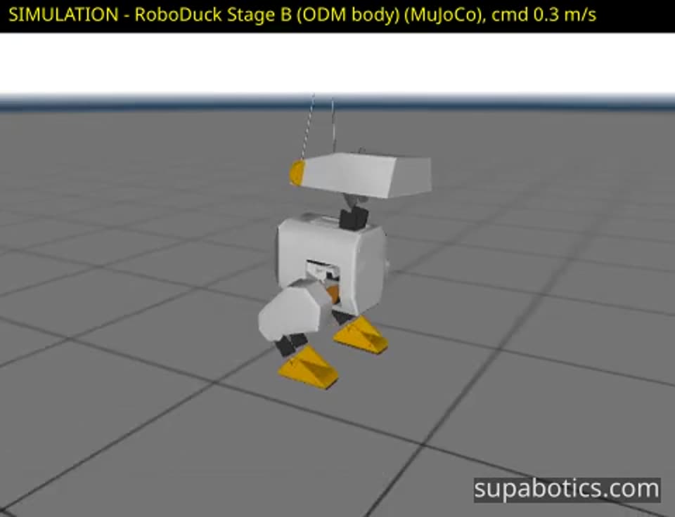RoboDuck walks in simulation (SIMULATION still)